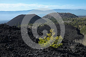 Cooled lava and volcanic cones in Etna Park, Sicily photo