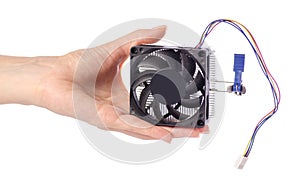 Cooler processor computer in hand