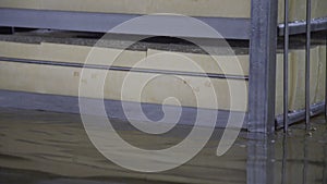 Cooling cheese wheels before drying. Cheese making process. Production of cheese wheels in factory.