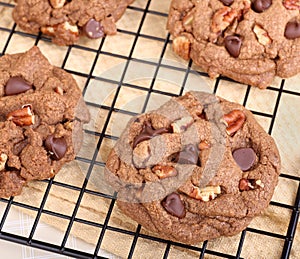 Cooling Chocolate Chip and Pecan Cookies