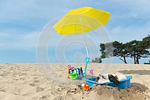 Cooling down for dog at the beach
