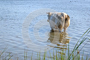 Cooling down