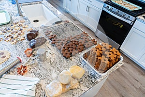 Cooling Gingerbread Cookies on Wire Rack in Modern Kitchen