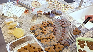 Cooling Gingerbread Cookies on Wire Rack in Modern Kitchen