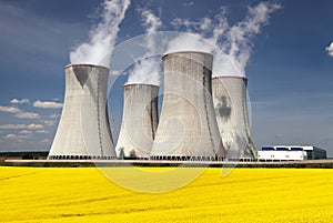 Cooling tower and rapeseed field