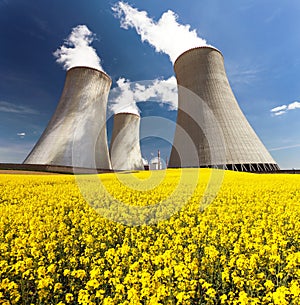 Cooling tower and rapeseed field