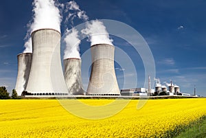 Cooling tower and rapeseed field