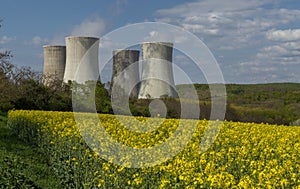 Cooling towers of nuclear power plant with the yellow field of rapeseed, canola or colza. Mochovce. Slovakia