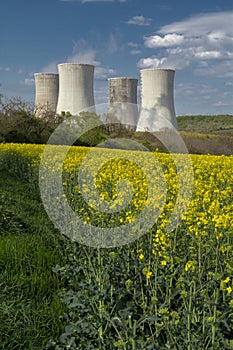 Cooling towers of nuclear power plant with the yellow field of rapeseed, canola or colza. Mochovce. Slovakia