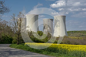 Cooling towers of nuclear power plant with the yellow field of rapeseed, canola or colza. Mochovce. Slovakia