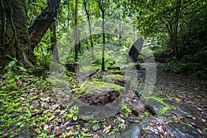 coolness in the forest, among the rocks, vegetation and the fresh air