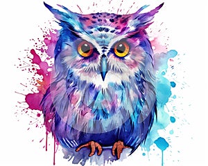 The coolness of a playful Owl is what makes the watercolor clean.