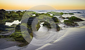 Coolum beach at the Sunshine Coast