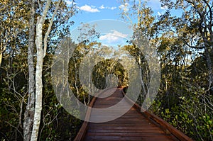 Coombabah Lakelands -Queensland Australia