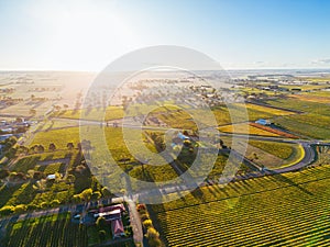 Coonawarra Landscape near Penola in Australia