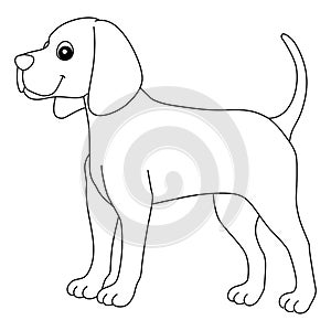 Coonhound Dog Isolated Coloring Page for Kids