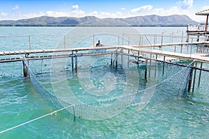 The coop for feeding fish