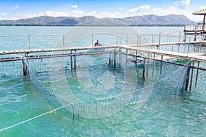 The coop for feeding fish