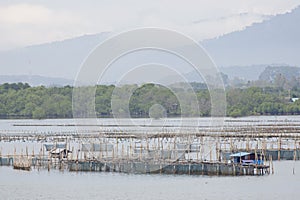 The coop for feeding fish in east of Thailand sea.