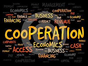 COOPERATION word cloud