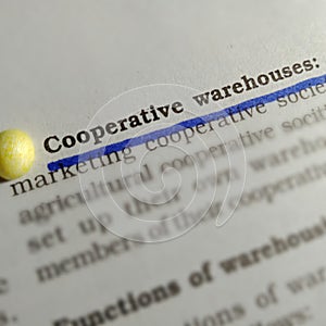 cooperative warehouses text underlined with blue color at book article