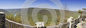 Coopers Rock State Forest panorama