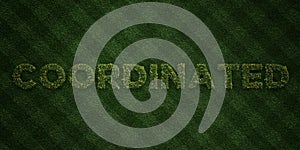 COORDINATED - fresh Grass letters with flowers and dandelions - 3D rendered royalty free stock image