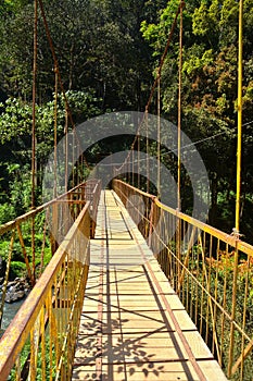 Coorg Bridge