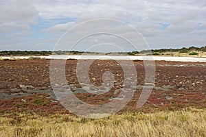 Coorong National Park, Australia