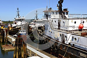 Coos Bay Tugboats, Southern Oregon Coast