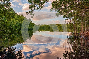 Coot Bay Pond in Everglades National Park.Florida.USA