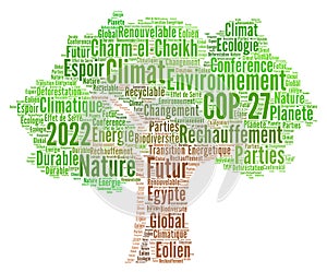 COP 27 in Sharm el-Sheikh word cloud in french language