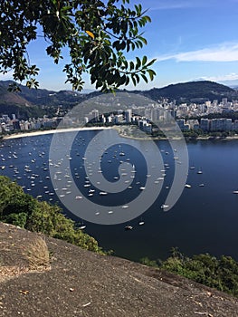 Copacabana Beach, Rio de Janeiro, water, tree, reflection, sky