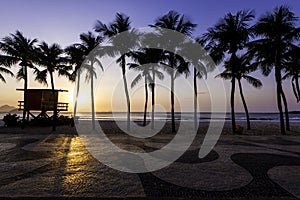 Copacabana Sidewalk With Palm Trees on Sunrise