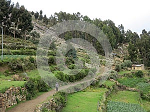 Copacabana, titicaca lake