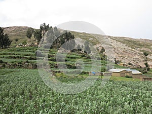 Copacabana, titicaca lake