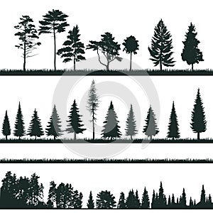 Groups of tree silhouettes - conifers, shrubs, grass - vectors photo