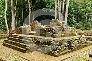 Copan Mayan ruins in Honduras photo