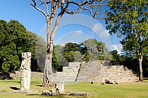 Copan Mayan ruins in Honduras