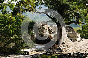 Copan Mayan ruins in Honduras