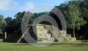 Copan Temple Mayan History Honduras photo