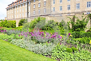 Copenhagen, Denmark. The King's garden. Park in the city center.