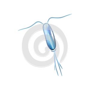 Copepod Plankton Icon