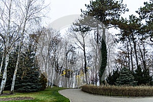 Copou Park, Vaslui City, Romania photo