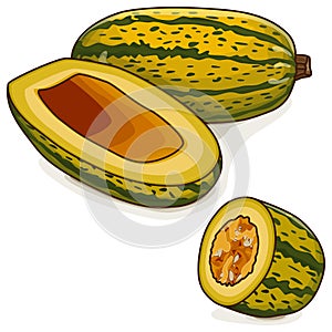 Copped Courge Spaghetti winter Squash Clipart.