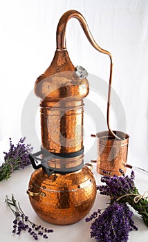 Copper Alembic distiller for essential oils with lavender bouquets photo