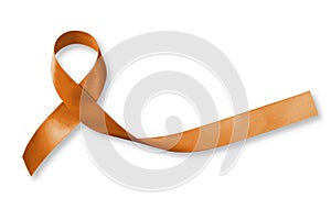 Copper Awareness Ribbon symbolic bow color for Herpes Simplex Virus (HSV 1 and HSV 2) isolated on white