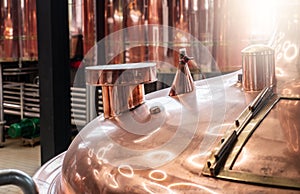 Copper Brewing Vats in Microbrewery