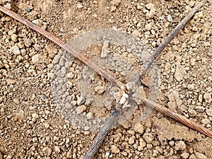 Copper earth wire connection by exothermic welding at the ground system