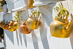 Copper kettles with plants hanging on white wall